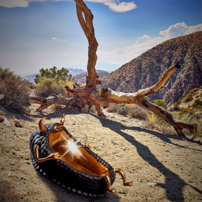 Haas Brothers imagine Wild Things homeware as desert creatures