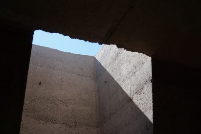 Branch by Conor Denison
