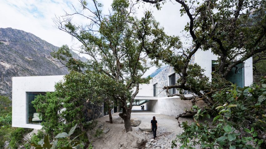 Casa Bedolla by P+0 Arquitectura