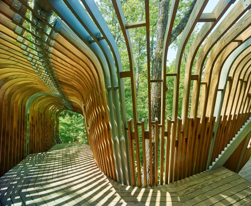 Evans Tree House in Garvan Woodland Gardens Arkansas by Modus Studio