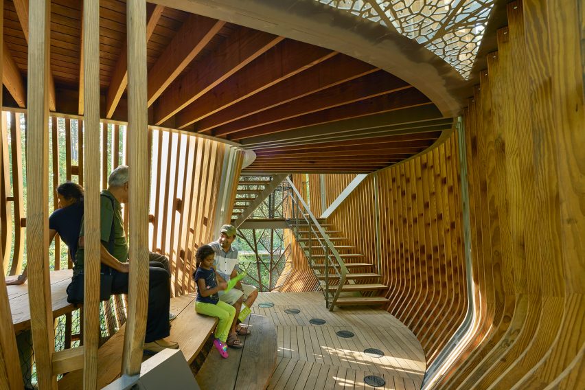 Evans Tree House in Garvan Woodland Gardens Arkansas by Modus Studio