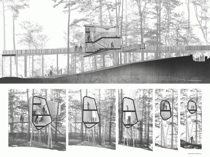 Evans Tree House in Garvan Woodland Gardens Arkansas by Modus Studio