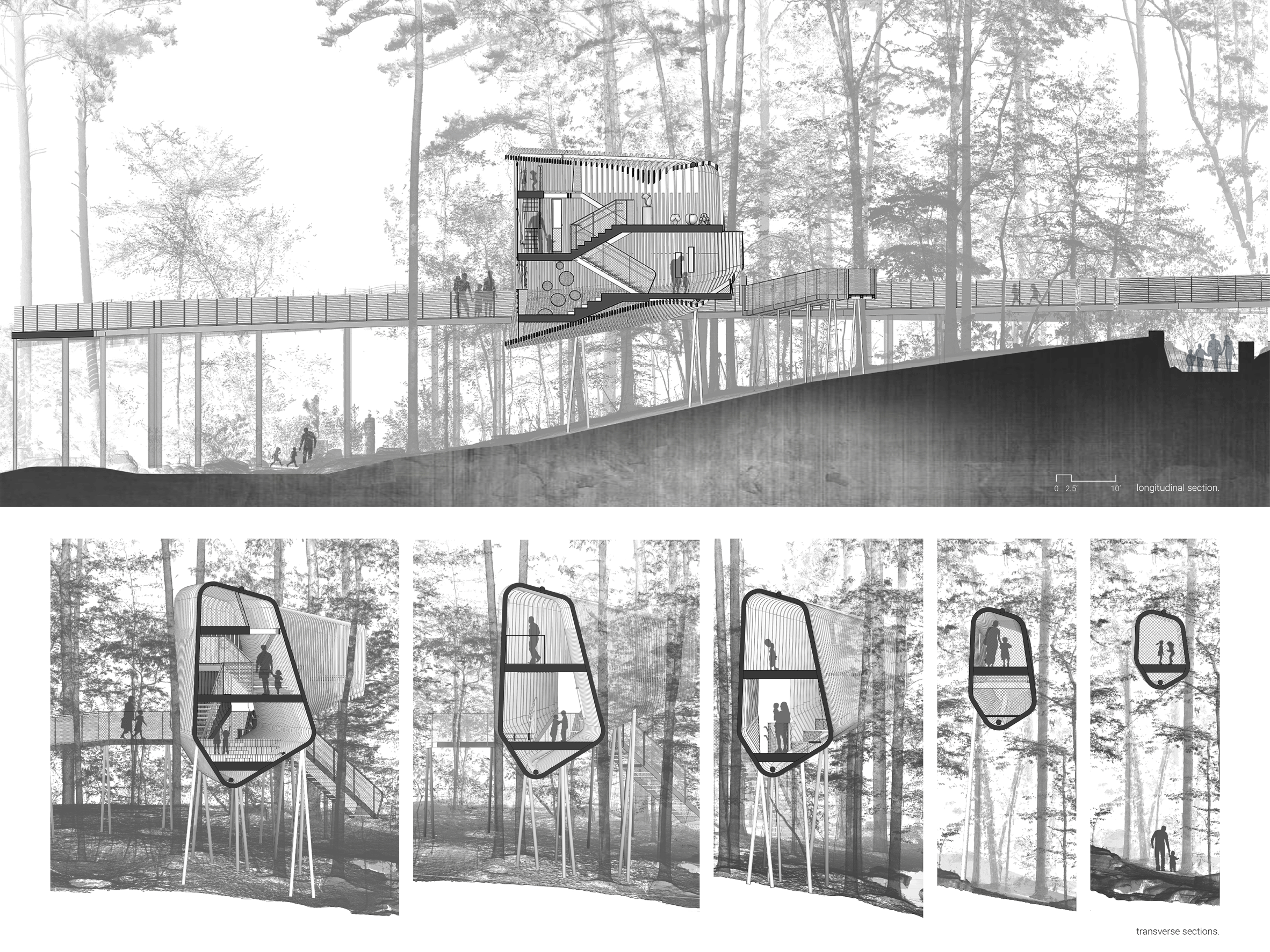 Evans Tree House in Garvan Woodland Gardens Arkansas by Modus Studio