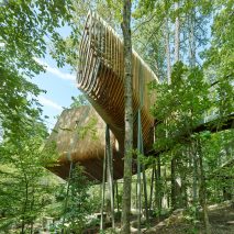 Evans Tree House in Garvan Woodland Gardens Arkansas by Modus Studio
