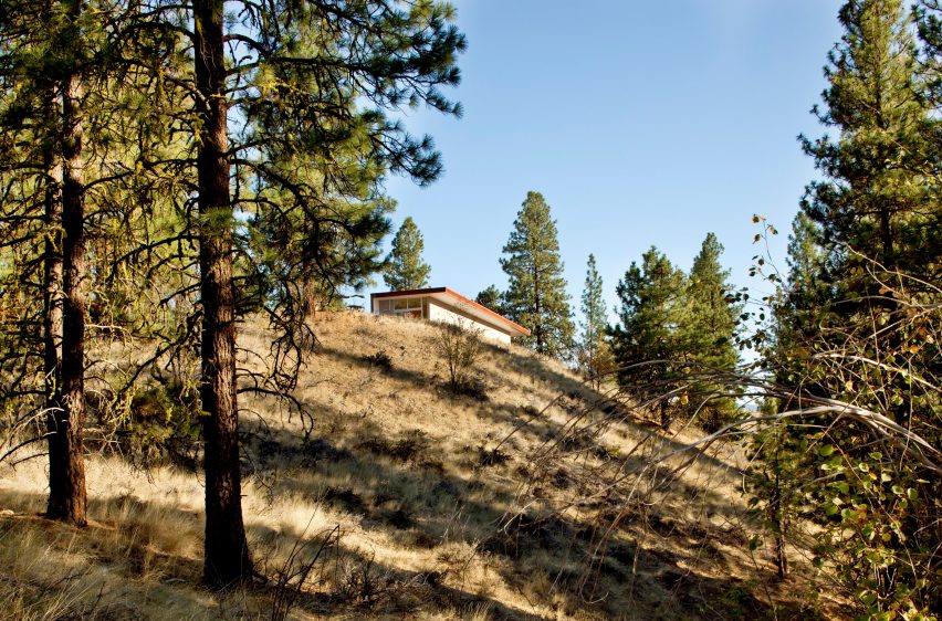 Hill House by David Coleman