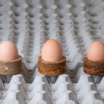Basse Stittgen gives discarded eggs new life as bioplastic tableware