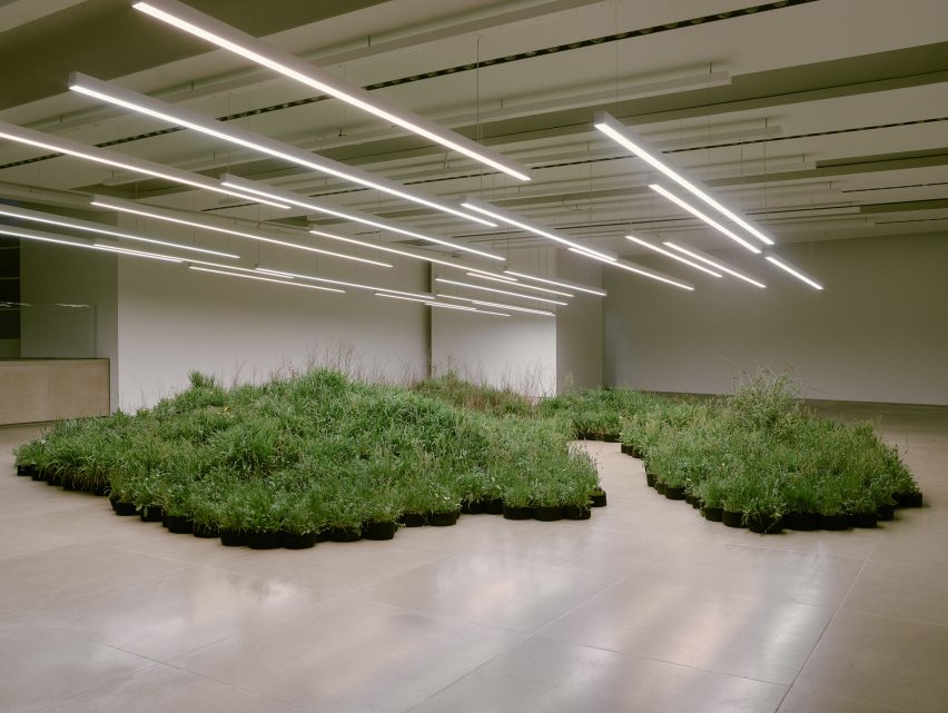 Adjacent Field by Linda Tegg and Jil Sanders at Milan design week