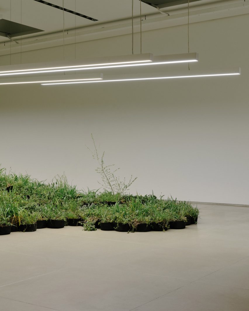 Adjacent Field by Linda Tegg and Jil Sanders at Milan design week