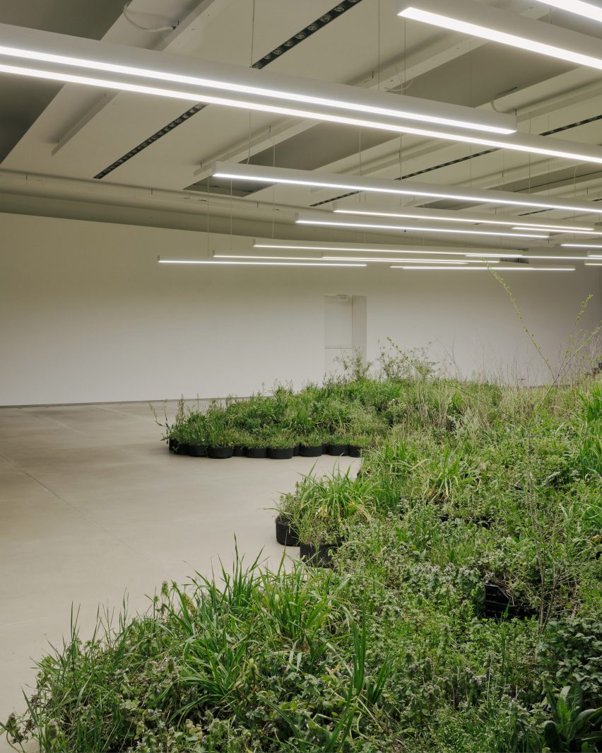 Adjacent Field by Linda Tegg and Jil Sanders at Milan design week