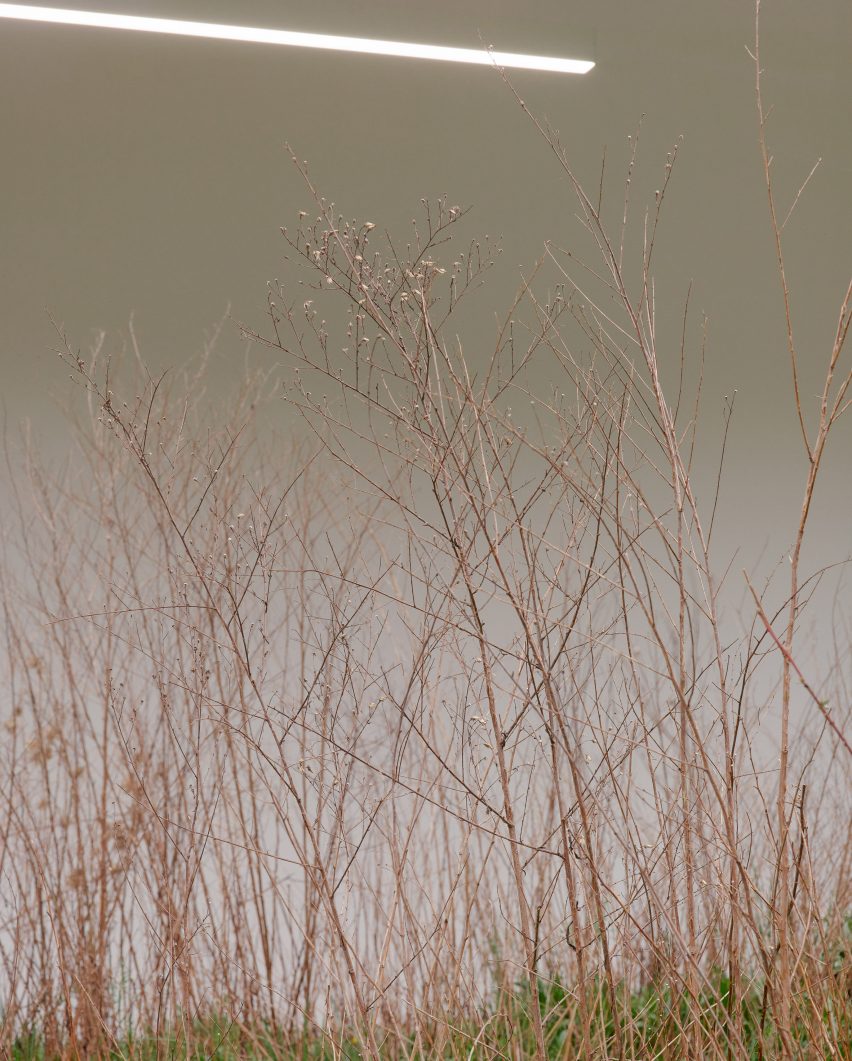 Adjacent Field by Linda Tegg and Jil Sanders at Milan design week