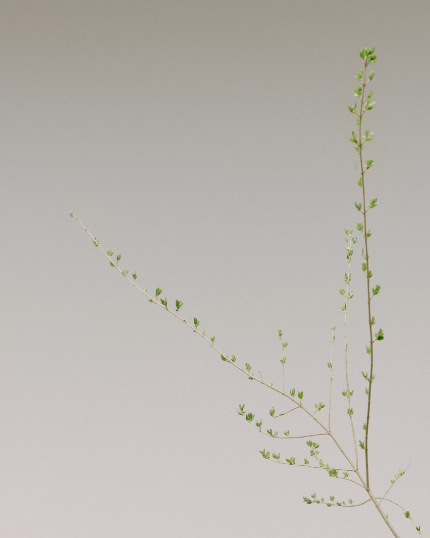 Adjacent Field by Linda Tegg and Jil Sanders at Milan design week