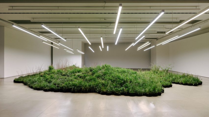 Adjacent Field by Linda Tegg and Jil Sanders at Milan design week