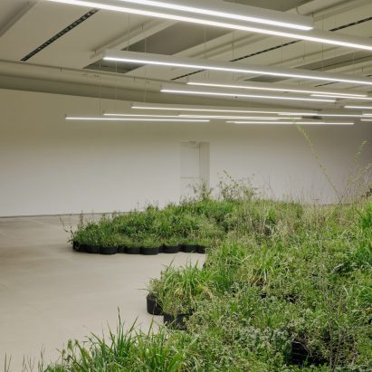 Adjacent Field by Linda Tegg and Jil Sanders at Milan design week