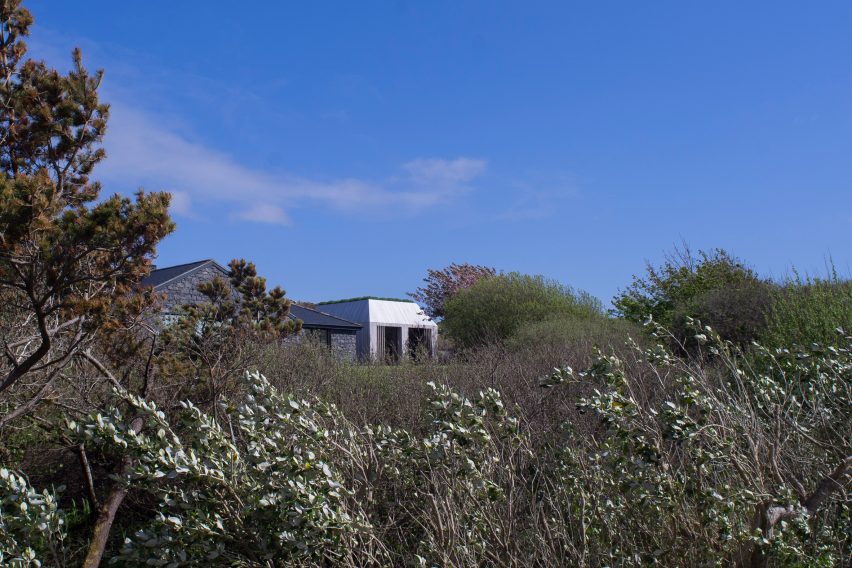 Library Lookout by Tierney Haines Architects
