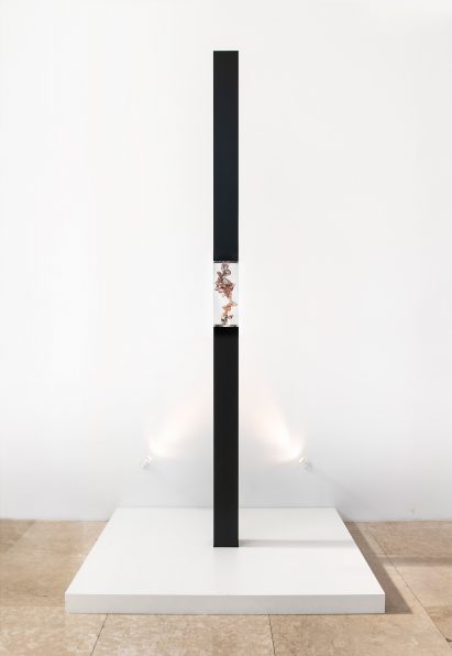 Neri Oxman builds with melanin for Totems project