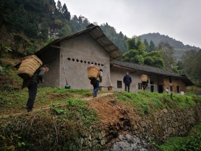 Chinese women architects: New Chinese Architecture by Austin Williams