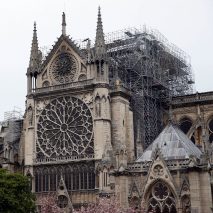 Notre-Dame Cathedral after fire