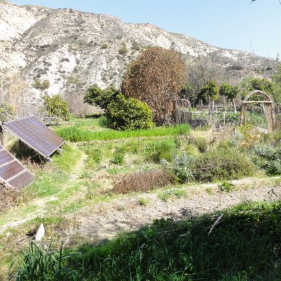 "At first I was enchanted by off-grid living," says Marcus Field. "But the hardships quickly became apparent"