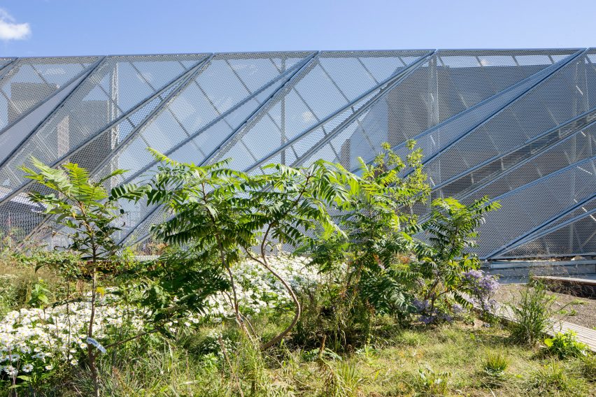 New York’s Pier 35 waterfront park by Shop Architects and Ken Smith Workshop