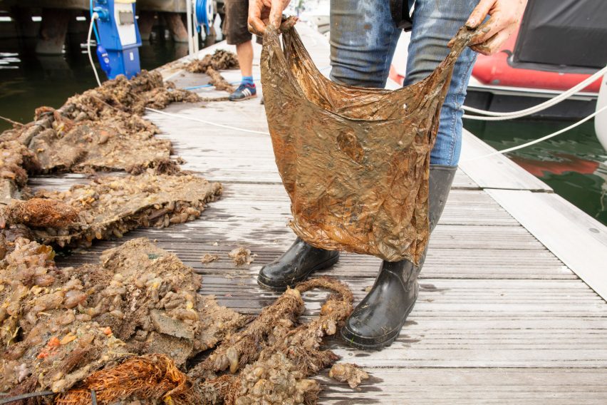 Biodegradable plastics offer "no advantage" over conventional plastics in reducing ocean pollution