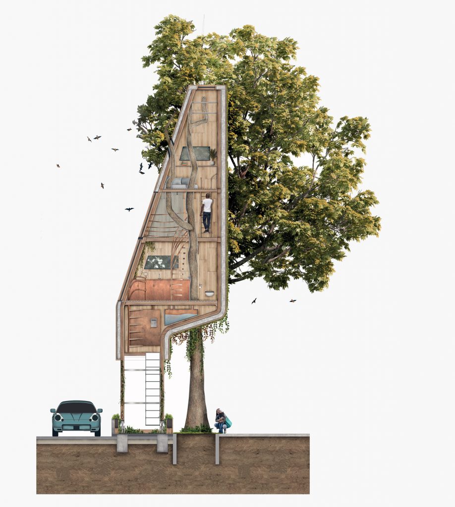 Street Tree Pods by Matthew Chamberlain