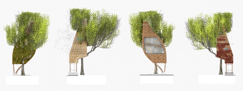 Street Tree Pods by Matthew Chamberlain