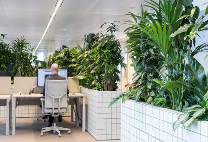 Synchroon office interiors designed by Space Encounters