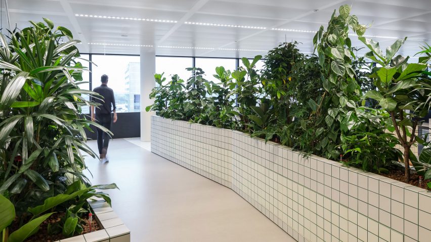 Synchroon office interiors designed by Space Encounters