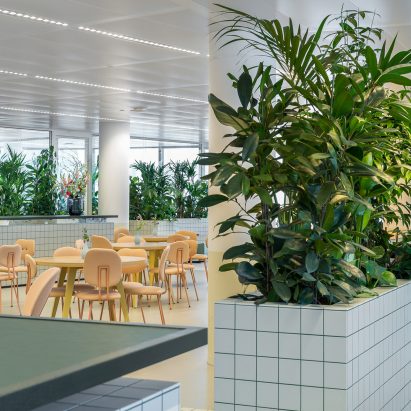 Synchroon office interiors designed by Space Encounters