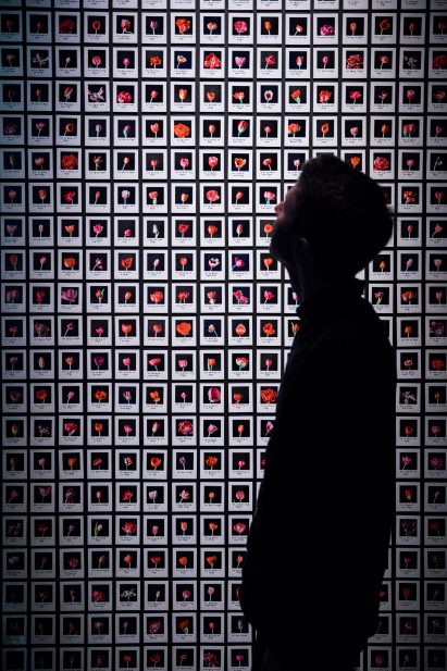 Barbican AI More than Human exhibition