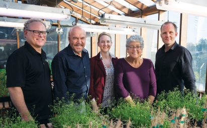 Salk Institute Ideal plant