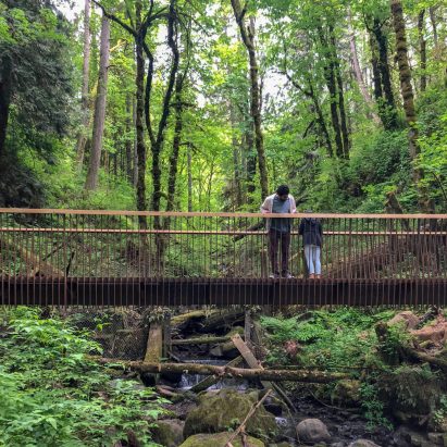 AIA Small Projects 2019, Forest Park Bridge