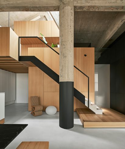 Michigan Loft, Chicago by Vladimir Radutny Architects