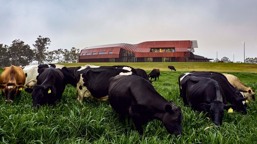 Bannister Downs Dairy in Northcliffe, Western Australia, by Bosske Architecture