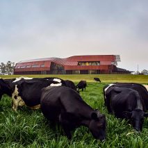 Bannister Downs Dairy in Northcliffe, Western Australia, by Bosske Architecture