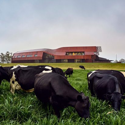 Bannister Downs Dairy in Northcliffe, Western Australia, by Bosske Architecture