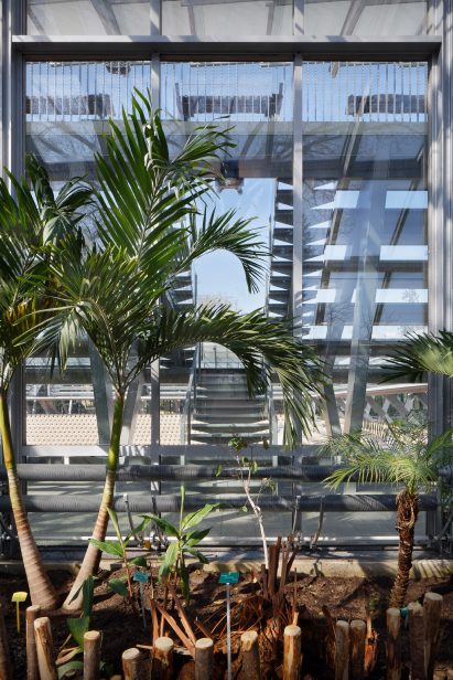 Court Simonne Mathieu at Roland Garos, the home of the French Open, by Marc Mimram Architecture & Associés