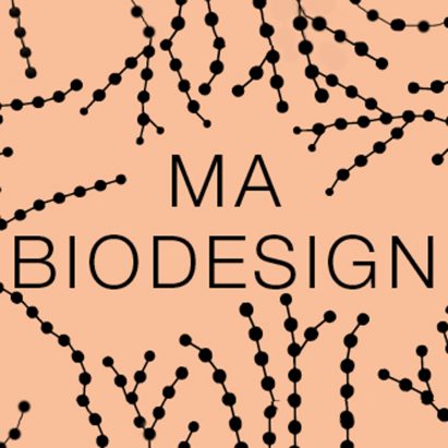 Central Saint Martins launches masters program in biodesign