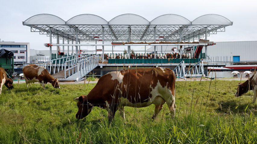 Floating Farm in Rotterdam
