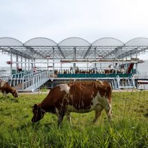 Floating Farm in Rotterdam