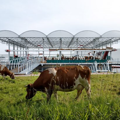 Floating Farm in Rotterdam