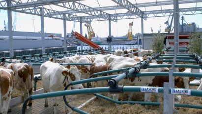 Floating Farm in Rotterdam