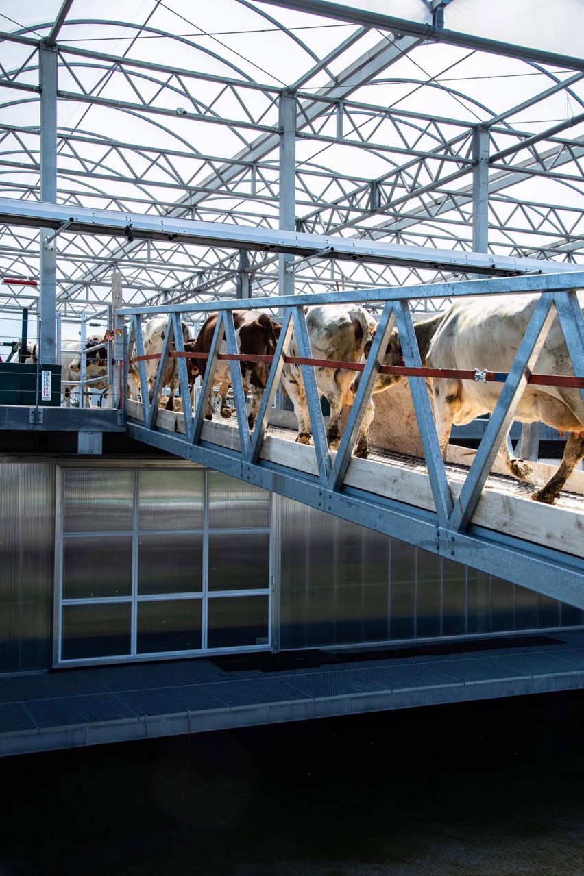Floating Farm in Rotterdam