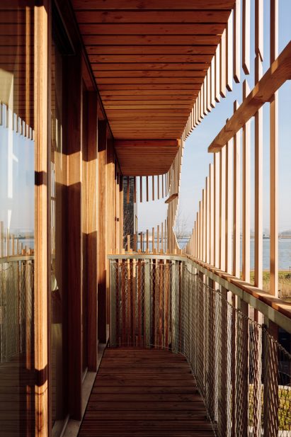 GG-loop creates Freebooter apartments to encourage biophilic living