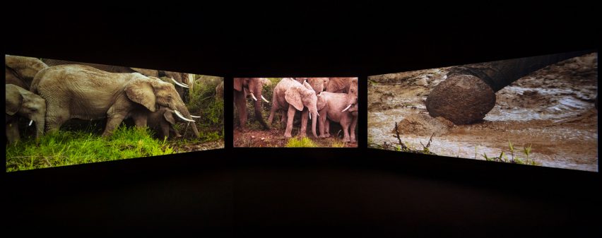 Ghana Freedom by David Adjaye at Venice Art Biennale