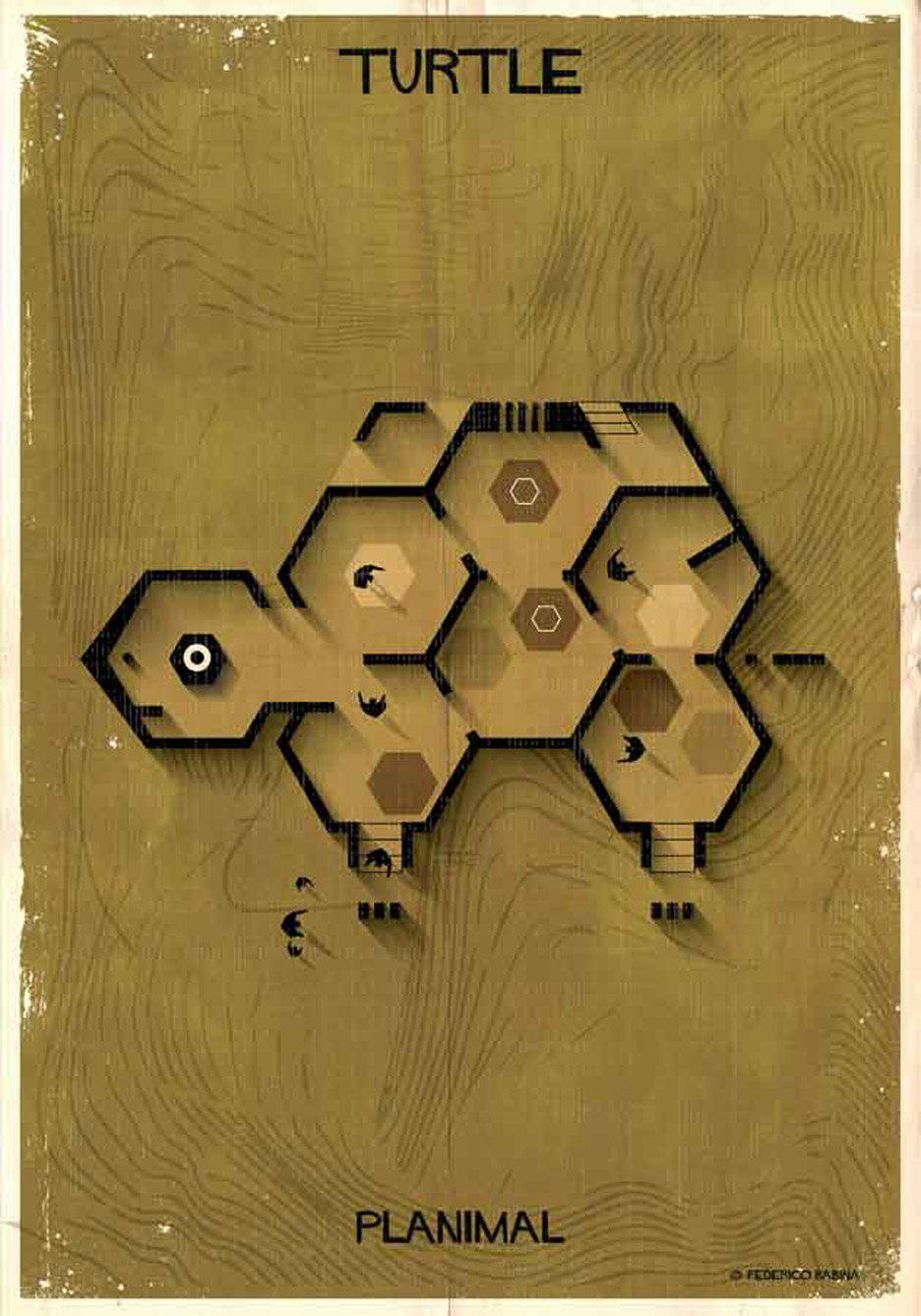 Planimals by Federico Babina