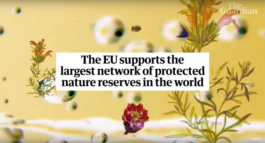 Rem Koolhaas EU video