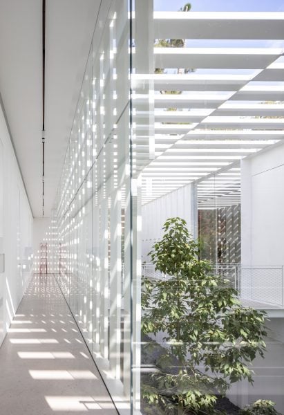 Split House by Pitsou Kedem Architects