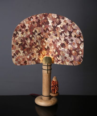 Mexican designer Fernando Laposse has developed Totomoxtle, a veneer material that uses the colourful husks of heirloom corn species and restores vital biodiversity.
