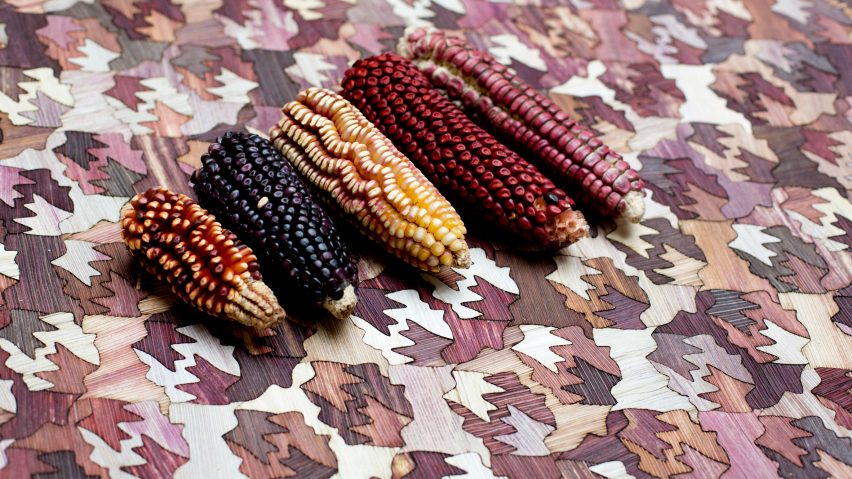 Mexican designer Fernando Laposse has developed Totomoxtle, a veneer material that uses the colourful husks of heirloom corn species and restores vital biodiversity.